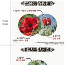 서부보건소 이미지