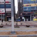 회뜨는곰