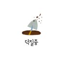 캠프고일리 이미지