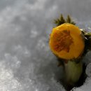 하늘가득 이미지