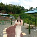 우주총동원 | 경남 하동 녹차밭과 지리산이 보이는 카페 녹음