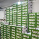 부광상회 이미지