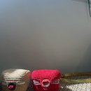 세종메드 이미지