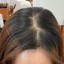 인호디자인 | 대치동 한티역 미용실 토니앤가이 대치점 인호쌤 뿌리염색