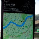 백제로(3구간)가로수 식재공사 | 나의 둘레길 트래킹의 마지막 코스 3-2,3-3코스