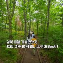 거창백두관광 | 경북 여행 가볼만한곳 포항 경주 영덕 웰니스 투어 BEST 4
