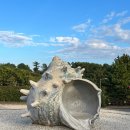 중문대포주상절리대 이미지