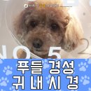 푸우동물병원 이미지