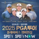 빅플레이어스