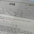 비비드순 이미지