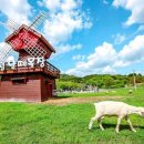 고요목장 이미지