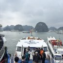 돌핀짐(Dolphin Gym) | 하노이 하롱베이 크루즈투어추천 - 6성급 돌핀 크루즈 투어 후기(Dolphin Halongbay Cruise Tour) 승솟...