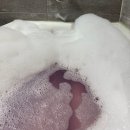 러쉬(LUSH) | LUSH 러쉬 슬리피 버블 바 솔직 후기 향 좋은 거품 입욕제 추천