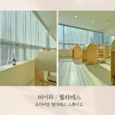 피어라:필라테스