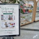 다민채 이미지