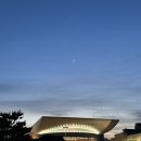 대전 한민시장 떡볶이 샘머리김밥 괴정점 김떡오 세트 후기