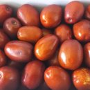 새농민농장(1농장) 이미지