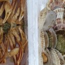 내사랑민박 이미지