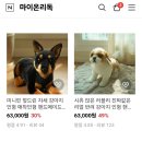 온리독 이미지