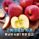청송사과한우농장 | 고씨네농장 사과, 아삭함과 달콤함의 완벽 조화!