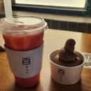 아멕스 | 대구 신세계백화점 백미당, 현대카드 아멕스 플래티넘 혜택 사용 후기