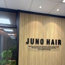 [하남미사] 준오헤어하남미사강변점 강우디자이너 - 뿌리매직 후기
