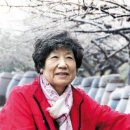 광광 농원 Daum카페