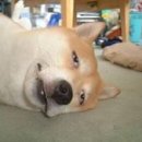 (주)바디채널 여의도 이미지