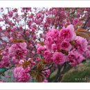 풍경운동장 이미지