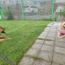 멍스퀘어 이미지