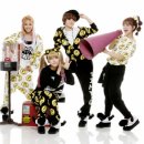 타이니지 카카오 검색결과