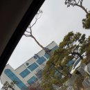 신탄진로 이미지