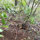 너래농원 이미지