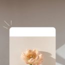 오월브로우