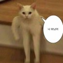 쿠지작업실 | [채리로-그] 10월 2탄: 오, 형식아! 오랜만이다 짜샤, 블로그 한사바리 땡기러 고고?