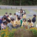 태화어린이집 이미지