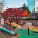 대머리근린공원 이미지