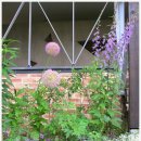 수석행정사사무소 이미지