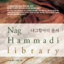 나그함마디 문서_이규호 (옮긴이),이정순 (감수)동연출판사