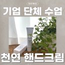 [기업 단체 출강] 기업 출강 핸드크림 만들기 클래스｜LG화학 사내 체험 프로그램 후기