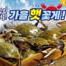 신선플러스할인마트 이미지