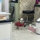 상도힐링동물병원 이미지