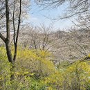 강남스카이공인중개사사무소 이미지