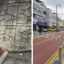 신지초 이미지