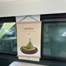 여치카페 | [강원도가볼만한곳]정선레일바이크 아기와 함께 탄 후기, 여치의 꿈 카페 후기