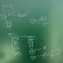 2024-주219 이미지