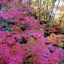 신비한공인중개사사무소 이미지