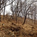 안산동(시경계) 이미지