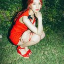 The Red Summer 카카오 검색결과