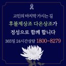후불제상조다온상조 네이버블로그